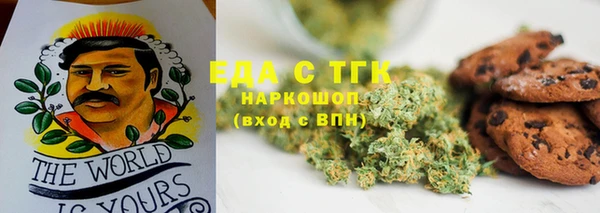 прущие грибы Краснотурьинск