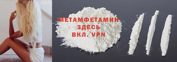 прущие грибы Краснотурьинск