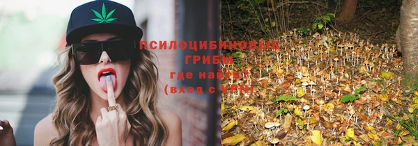 прущие грибы Краснотурьинск